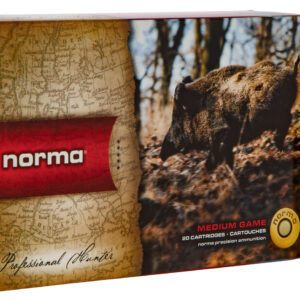 NORMA 20174342  3006    170   TIPSTRIKE      20/10