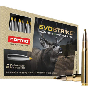 NORMA 20177342 3006     139   LF EVOSTRIKE   20/10
