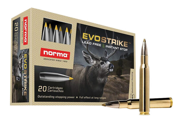 NORMA 20177342 3006     139   LF EVOSTRIKE   20/10