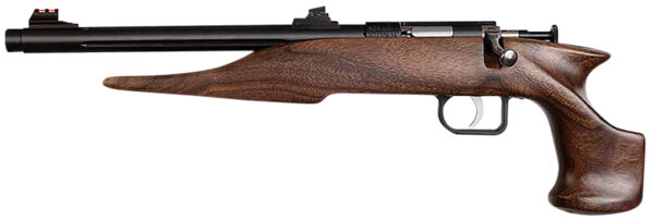 CHIPMUNK 40001   22LR BLUED BRL TB             WAL