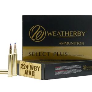 WTHBY R224805FBT   224 WBY  80.5G BERGER FBT 20/10