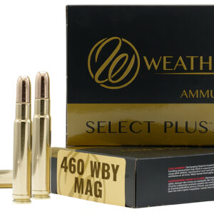 WTHBY B460450TSX   460WBY  450 BTS           20/10