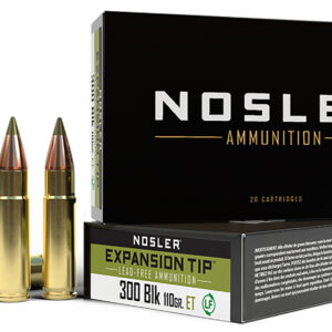 300 AAC BLKOUT 110gr E-Tip Ammo (20 ct.)