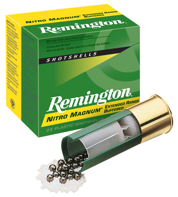 REM 26682 NM12H2    12   MAG    2            25/10
