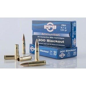 PPU 300 AAC HPBT 125GR