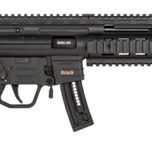 GSG GERGGSG1610   GSG-16 22LR     16.25 10R    BLK