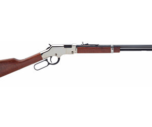 HENRY SILVER BOY 22WMR 20"