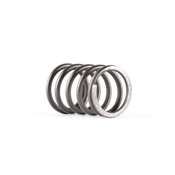 PISTON SPRING